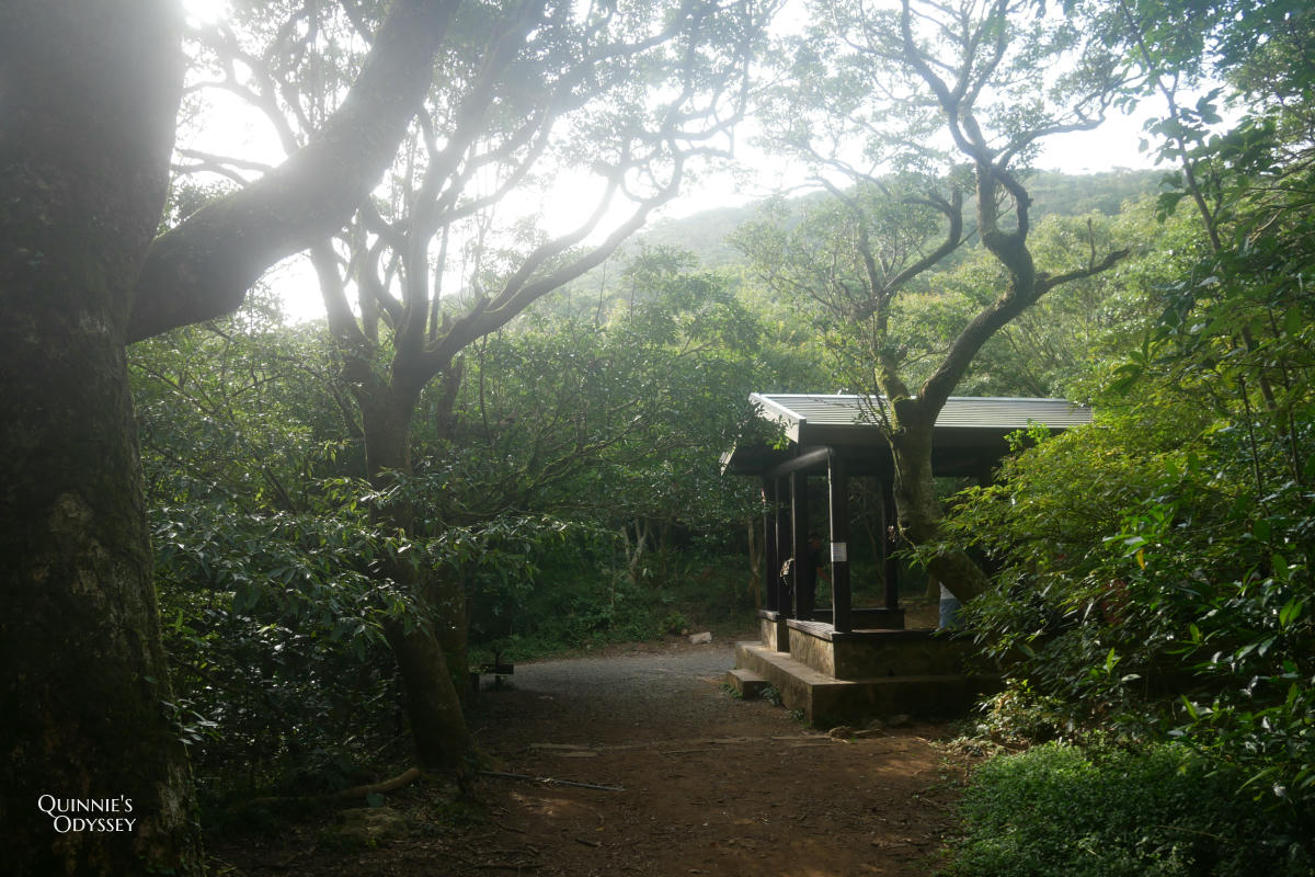 大屯山 面天坪
