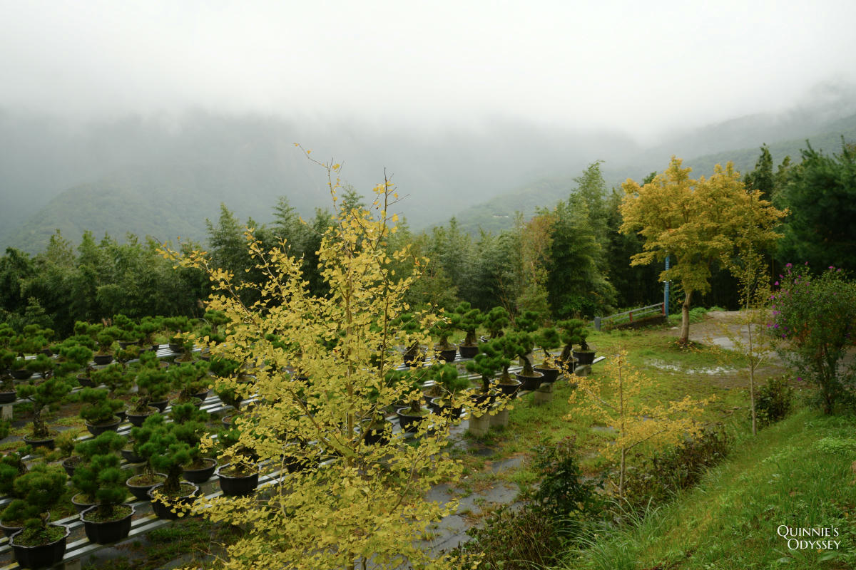 數碼天空太空艙住宿開箱:一泊二食,新竹尖石被群山包圍的秘境 - 第20張圖 數碼天空 太空艙 風景