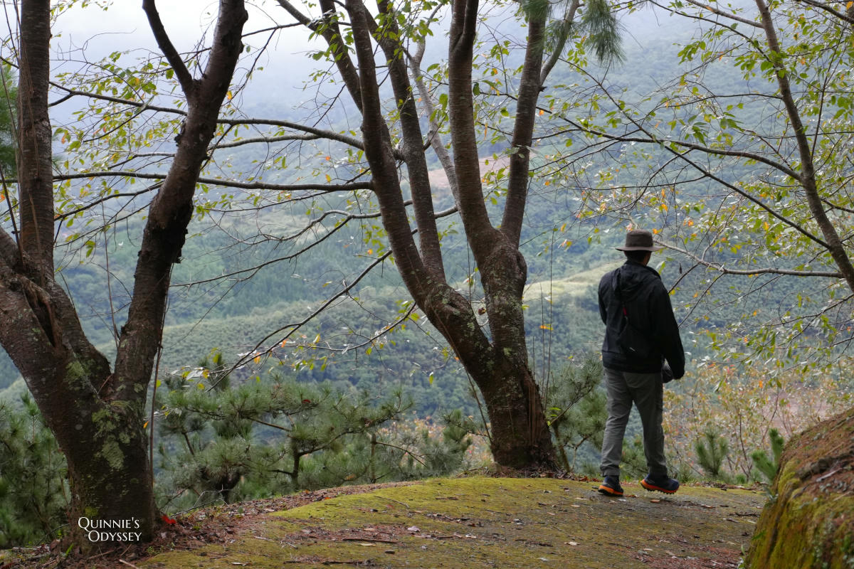 數碼天空太空艙住宿開箱:一泊二食,新竹尖石被群山包圍的秘境 - 第49張圖 數碼天空 森林步道