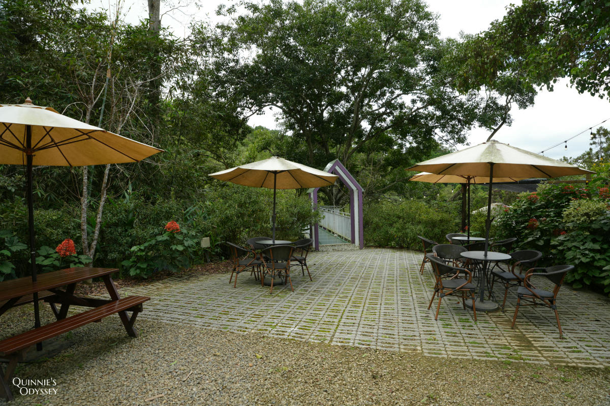 藍月山谷:藏在新竹橫山山中的秘境景觀咖啡廳 - 第15張圖 藍月山谷 玻璃棧道