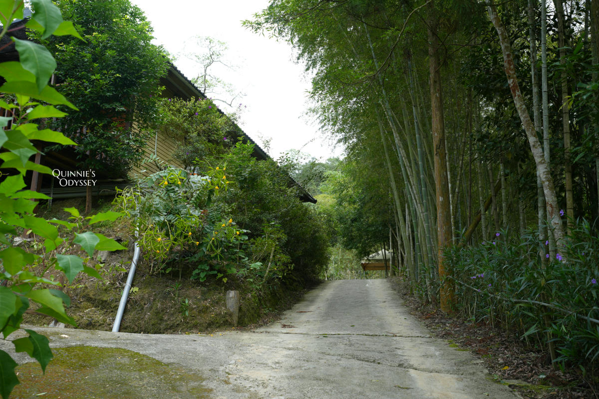 藍月山谷:藏在新竹橫山山中的秘境景觀咖啡廳 - 第20張圖 藍月山谷露營區