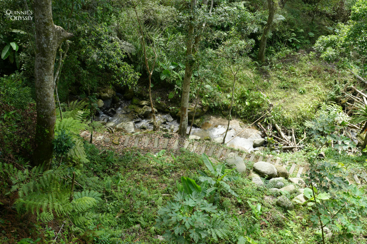 藍月山谷:藏在新竹橫山山中的秘境景觀咖啡廳 - 第11張圖 藍月山谷