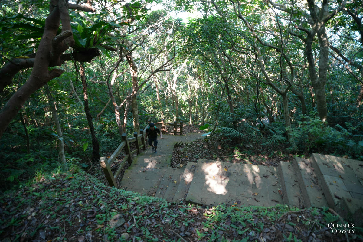 龜山島登島半日遊完整心得:401高地登頂+環湖+坑道+龜山八景 - 第14張圖 龜山島 401高地健行