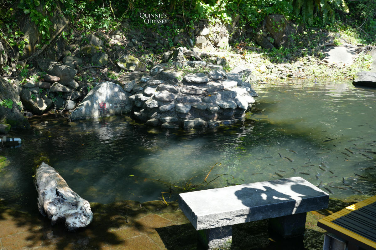 龜山島登島半日遊完整心得:401高地登頂+環湖+坑道+龜山八景 - 第34張圖 龜山島 龜尾湖 冷泉