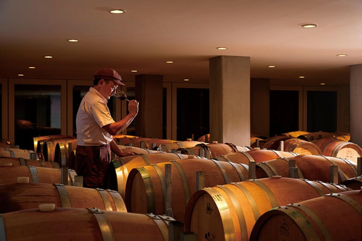 Château Mercian Katsunuma Winery - Wabunka