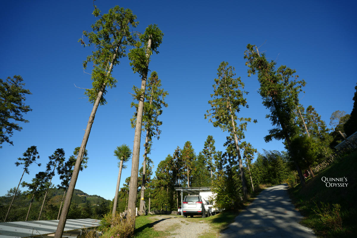 杉行旅居:苗栗高海拔露營車住宿x夢幻山景與超美星空 - 第31張圖 杉行旅居 C區