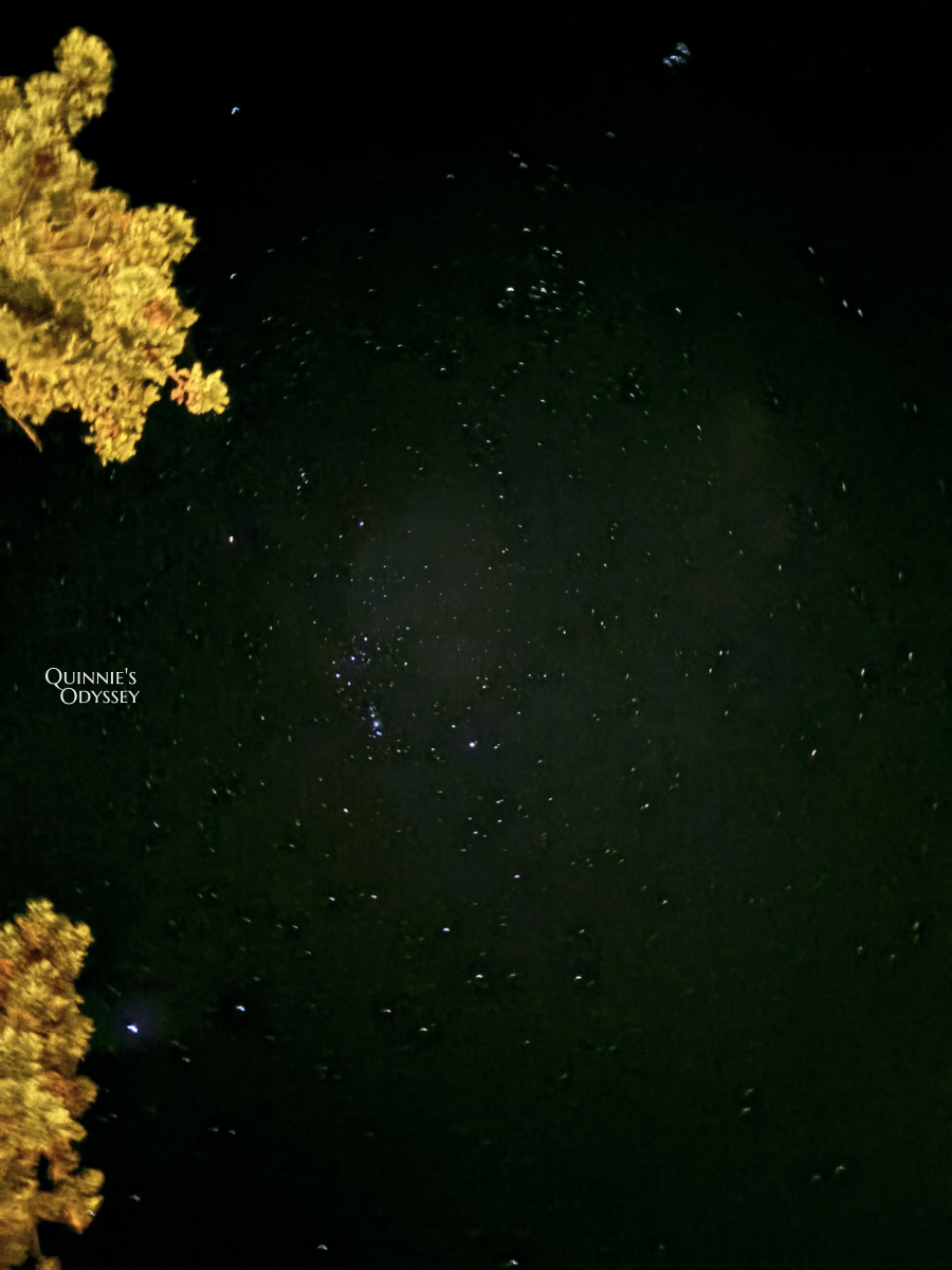 杉行旅居:苗栗高海拔露營車住宿x夢幻山景與超美星空 - 第20張圖 杉行旅居 星空