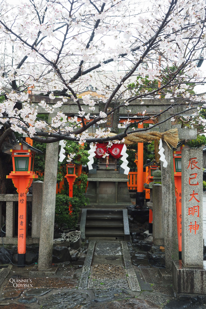 祇園白川:櫻花與柳樹,下雨也很浪漫的京都賞櫻散步路線 - 第4張圖 祇園白川 辰巳大明神 櫻花