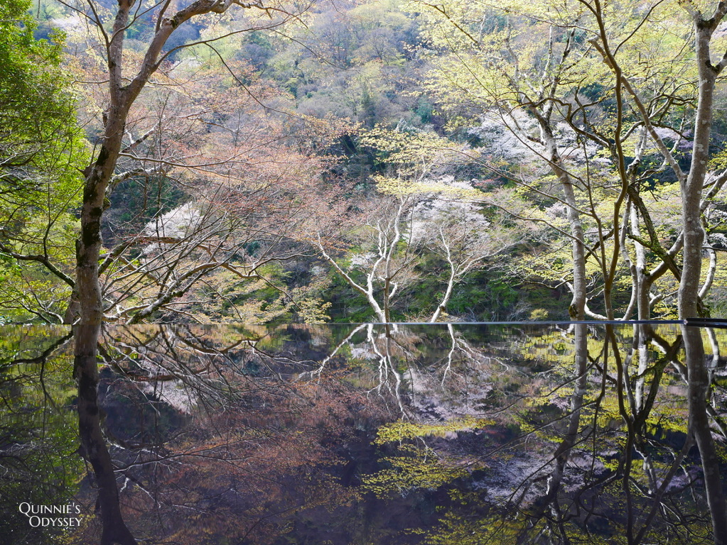 嵐山祐齋亭:夢幻窗景倒影的秘境美景,京都最迷人的四季風光 - 第25張圖 嵐山 祐齋亭