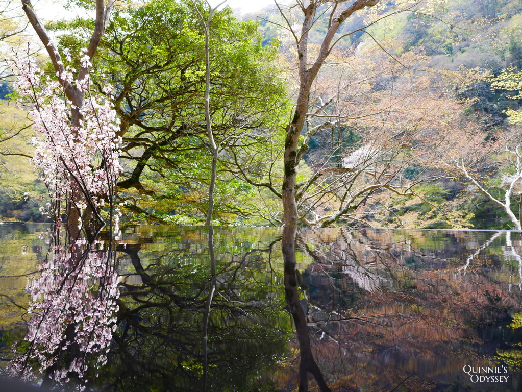 嵐山祐齋亭:夢幻窗景倒影的秘境美景,京都最迷人的四季風光 - 第24張圖 嵐山 祐齋亭