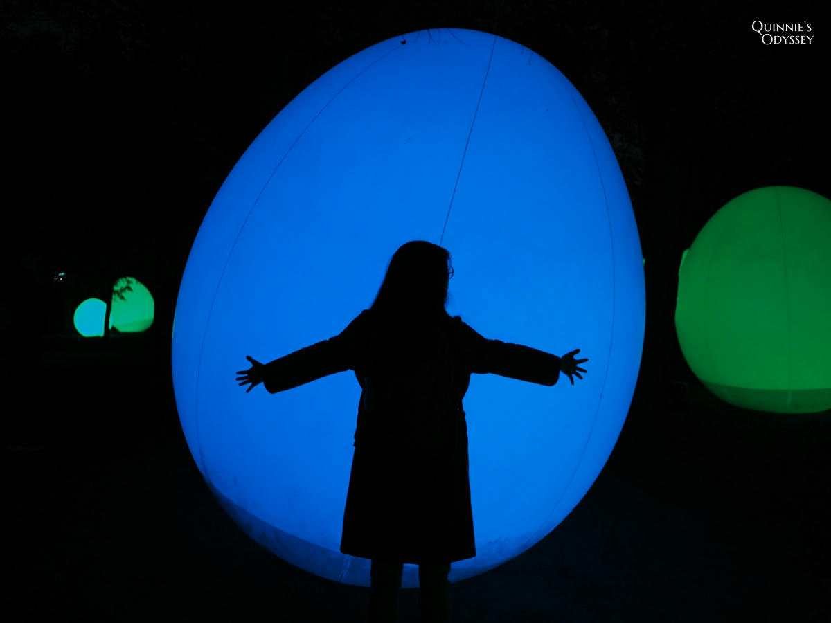 teamLab大阪長居植物園夜間戶外光影展 teamLab Botanical Garden Osaka - 第13張圖 teamLab 大阪長居植物園