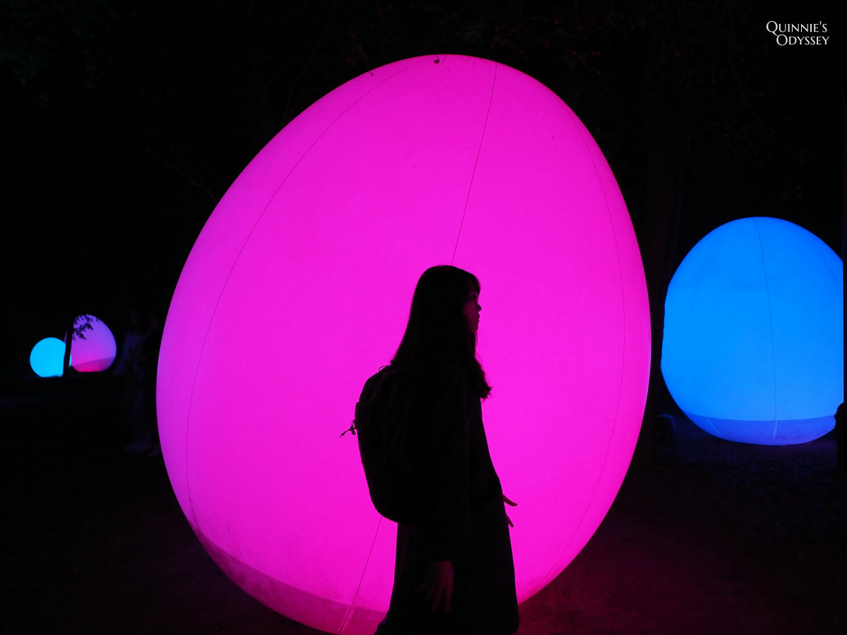 teamLab大阪長居植物園夜間戶外光影展 teamLab Botanical Garden Osaka - 第12張圖 teamLab 大阪長居植物園