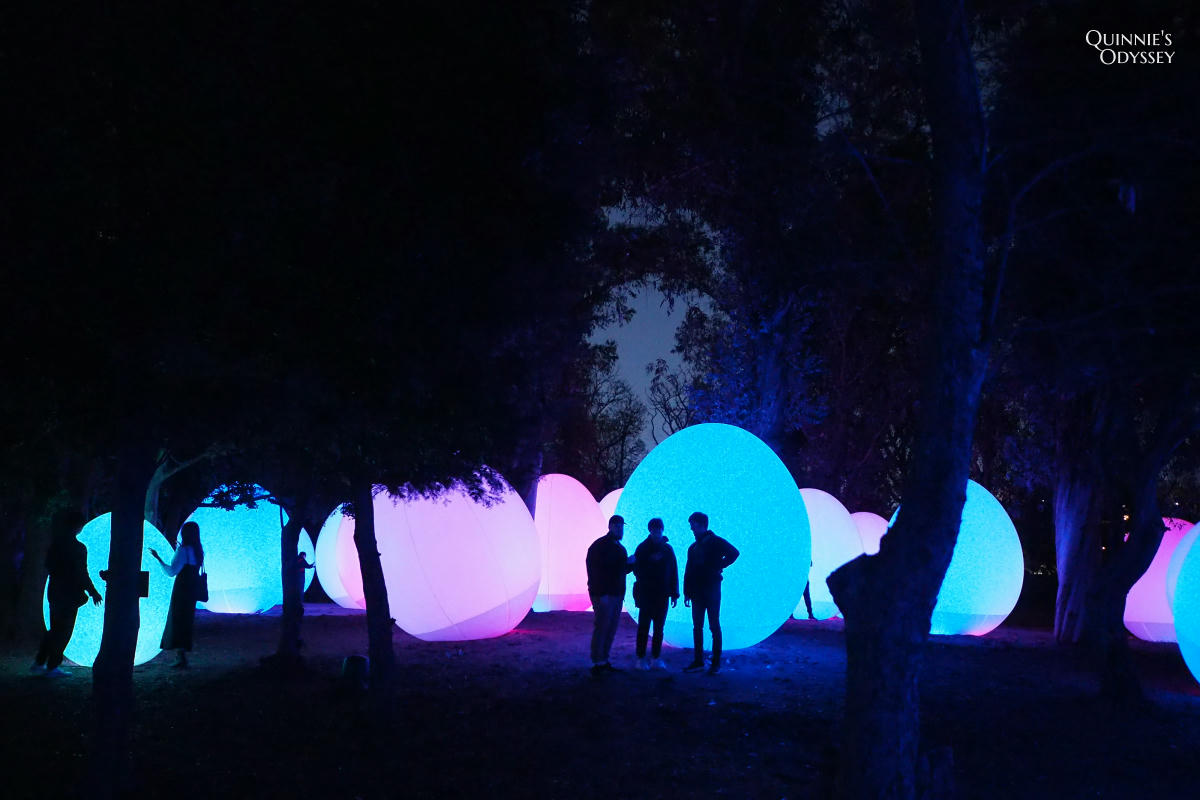 teamLab大阪長居植物園夜間戶外光影展 teamLab Botanical Garden Osaka - 第9張圖 teamLab 大阪長居植物園
