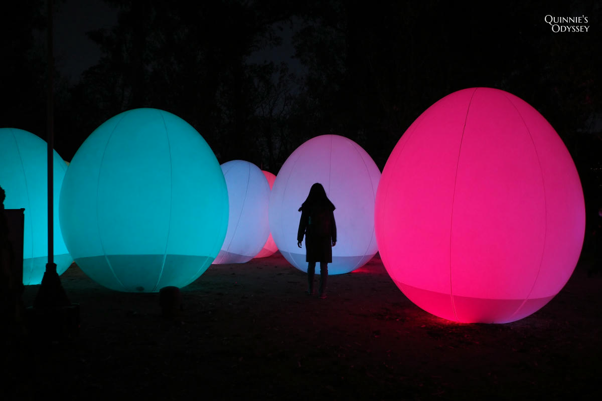 teamLab大阪長居植物園夜間戶外光影展 teamLab Botanical Garden Osaka - 第10張圖 teamLab 大阪長居植物園