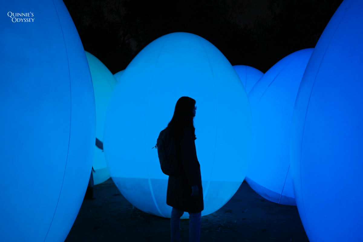 teamLab大阪長居植物園夜間戶外光影展 teamLab Botanical Garden Osaka - 第11張圖 teamLab 大阪長居植物園