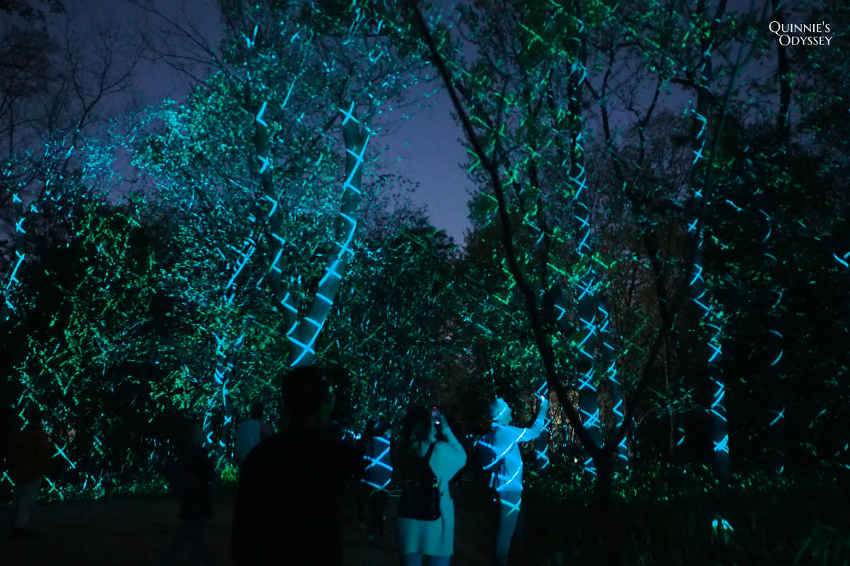 teamLab大阪長居植物園夜間戶外光影展 teamLab Botanical Garden Osaka - 第18張圖 teamLab 大阪長居植物園