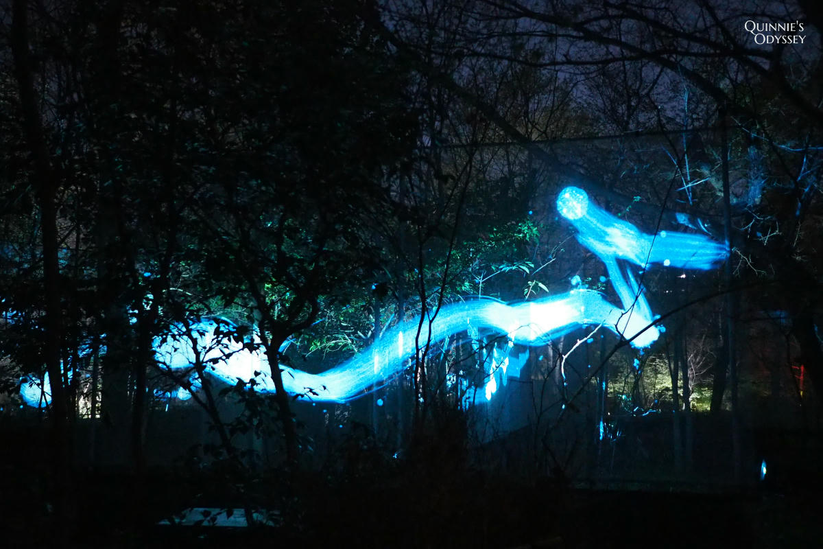 teamLab大阪長居植物園夜間戶外光影展 teamLab Botanical Garden Osaka - 第19張圖 teamLab 大阪長居植物園