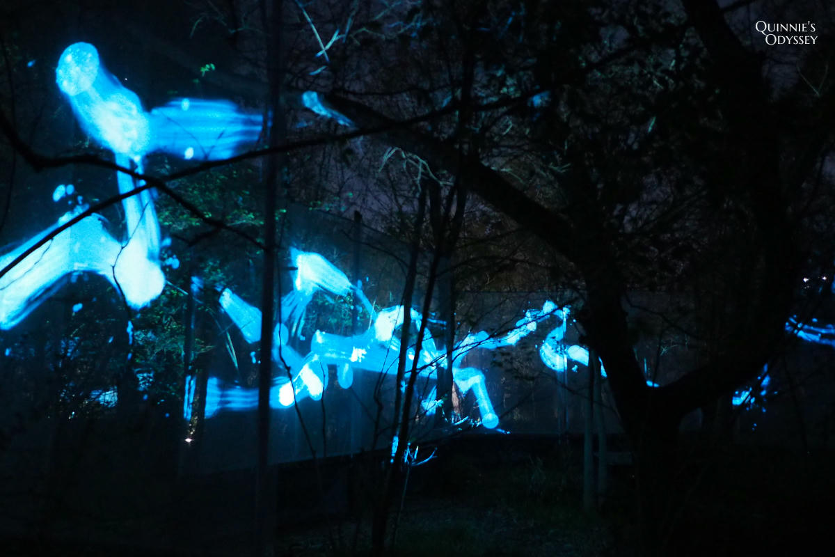 teamLab大阪長居植物園夜間戶外光影展 teamLab Botanical Garden Osaka - 第20張圖 teamLab 大阪長居植物園