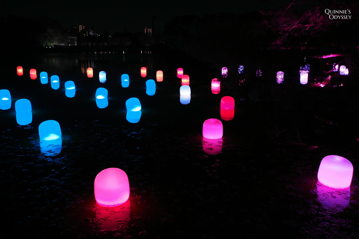 teamLab大阪長居植物園夜間戶外光影展 teamLab Botanical Garden Osaka - 第22張圖 teamLab 大阪長居植物園