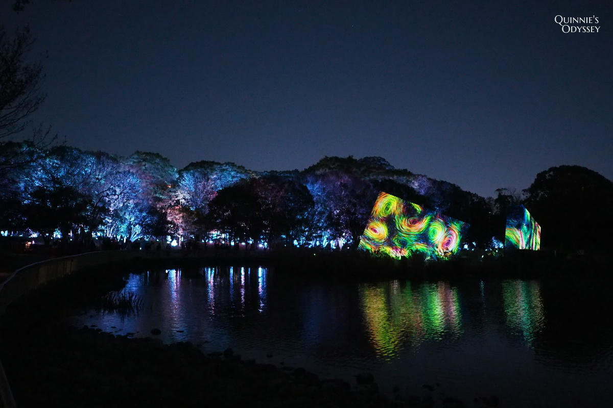 teamLab大阪長居植物園夜間戶外光影展 teamLab Botanical Garden Osaka - 第17張圖 teamLab 大阪長居植物園