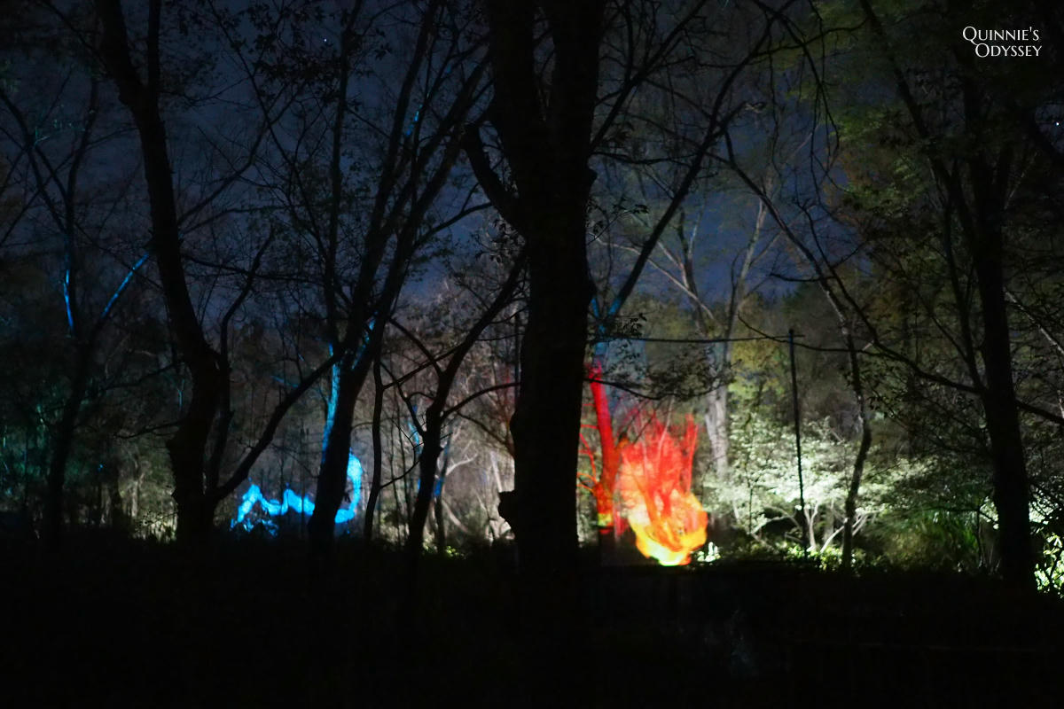 teamLab大阪長居植物園夜間戶外光影展 teamLab Botanical Garden Osaka - 第21張圖 teamLab 大阪長居植物園