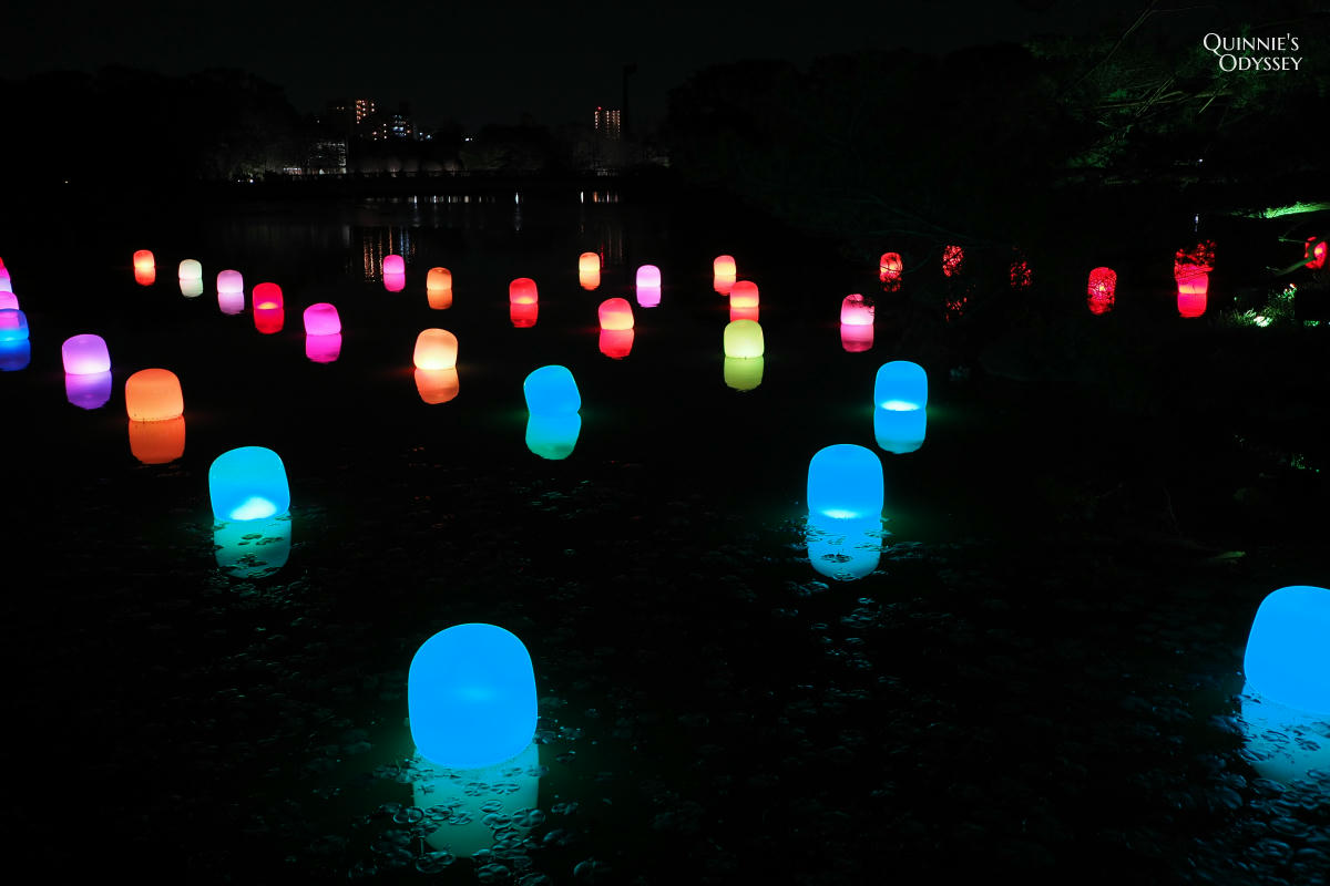 teamLab大阪長居植物園夜間戶外光影展 teamLab Botanical Garden Osaka - 第23張圖 teamLab 大阪長居植物園