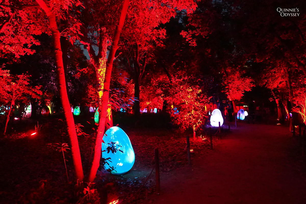 teamLab大阪長居植物園夜間戶外光影展 teamLab Botanical Garden Osaka - 第7張圖 teamLab 大阪長居植物園