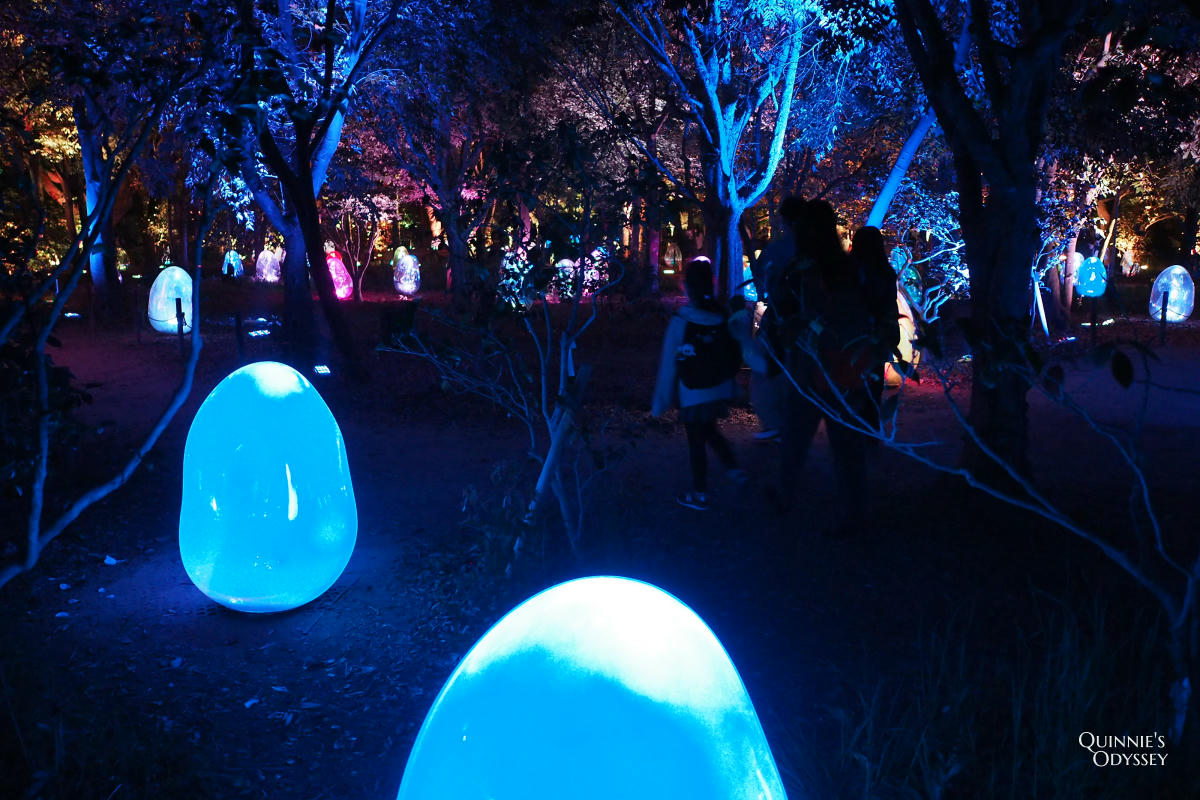 teamLab大阪長居植物園夜間戶外光影展 teamLab Botanical Garden Osaka - 第8張圖 teamLab 大阪長居植物園