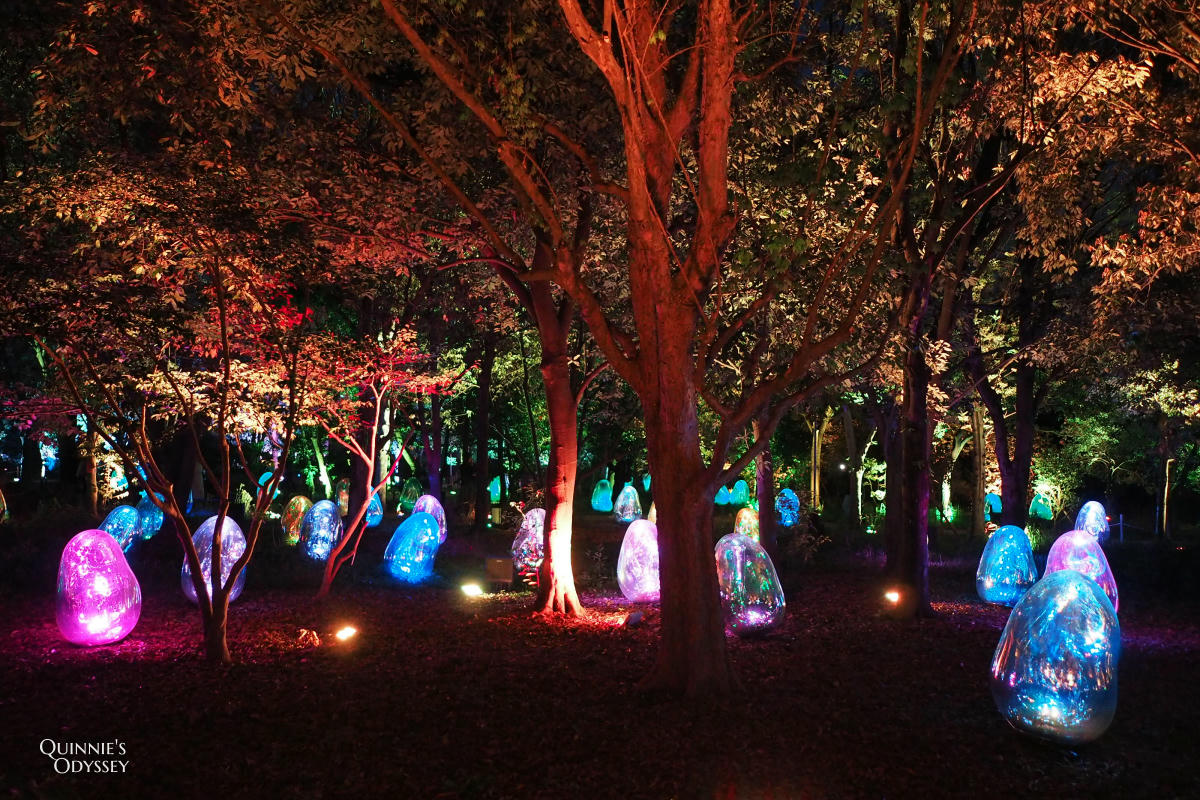 teamLab大阪長居植物園夜間戶外光影展 teamLab Botanical Garden Osaka - 第3張圖 teamLab 大阪長居植物園