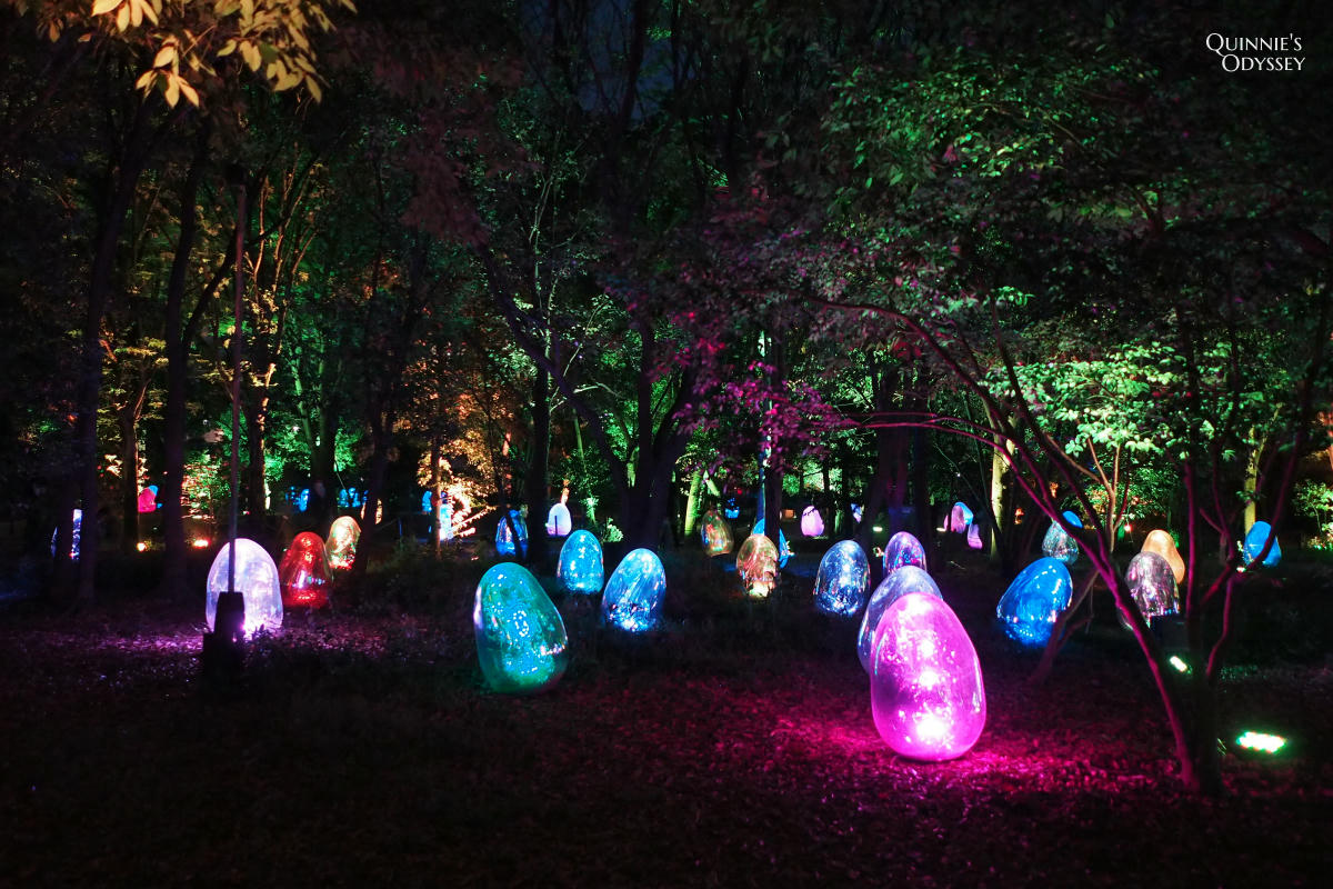 teamLab大阪長居植物園夜間戶外光影展 teamLab Botanical Garden Osaka - 第4張圖 teamLab 大阪長居植物園