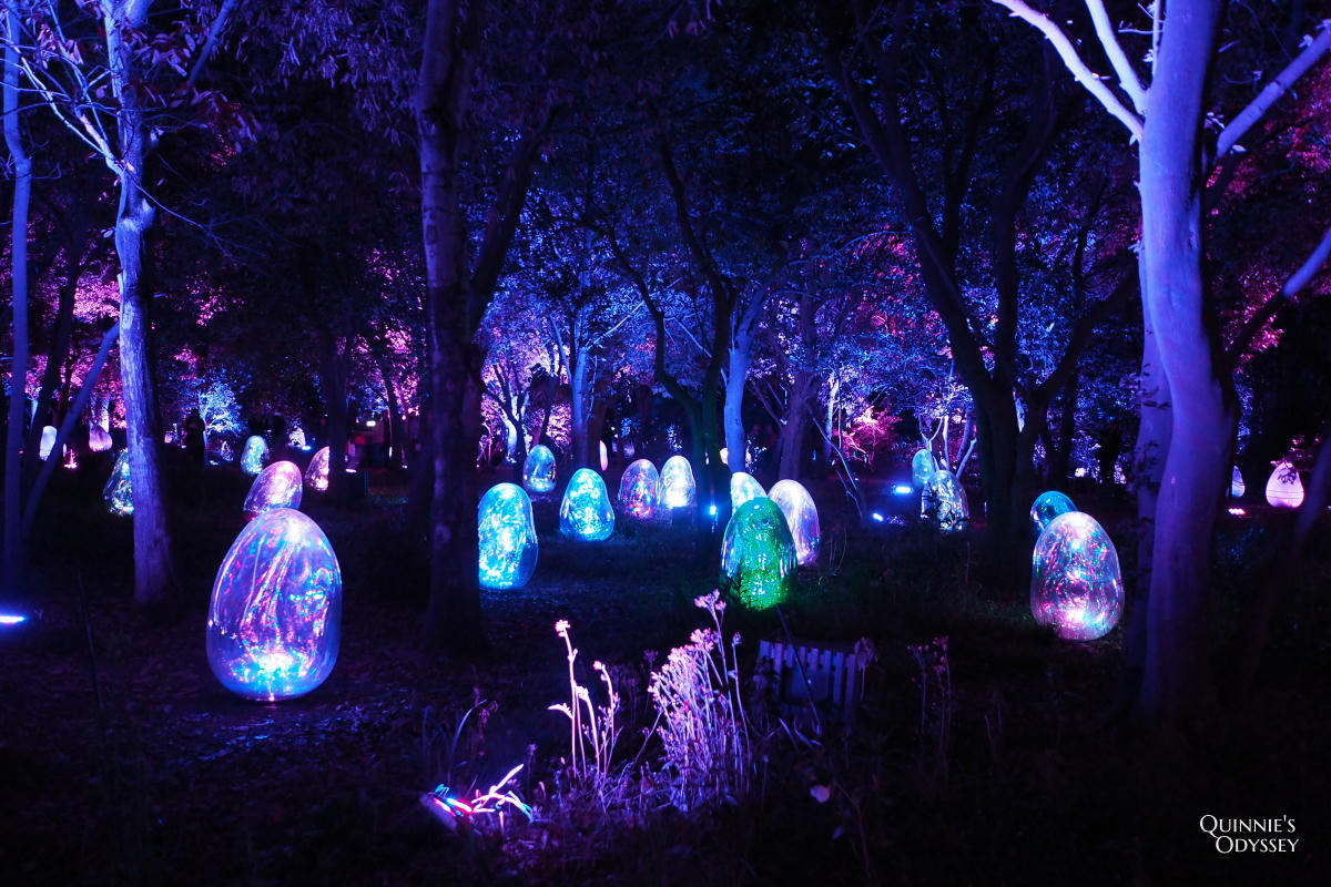 teamLab大阪長居植物園夜間戶外光影展 teamLab Botanical Garden Osaka - 第5張圖 teamLab 大阪長居植物園