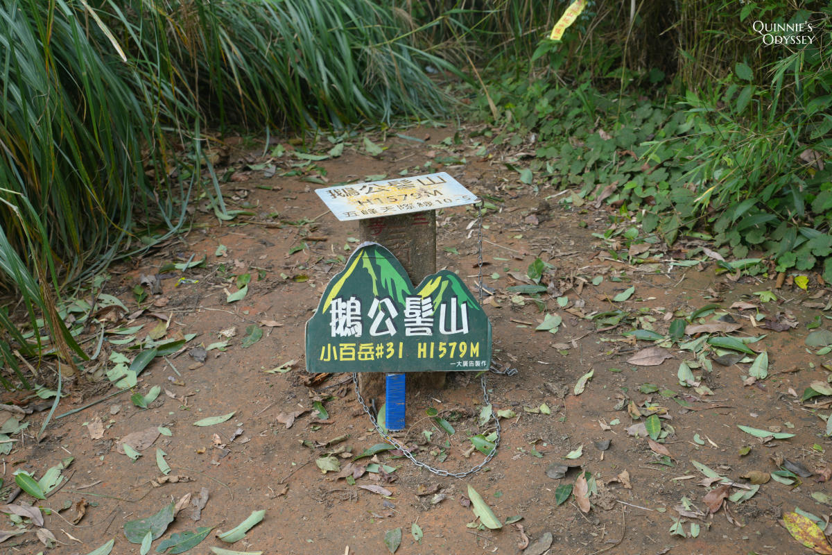鵝公髻山:走進新竹五峰的迷霧森林,小百岳NO31 - 第19張圖 鵝公髻山 三角點
