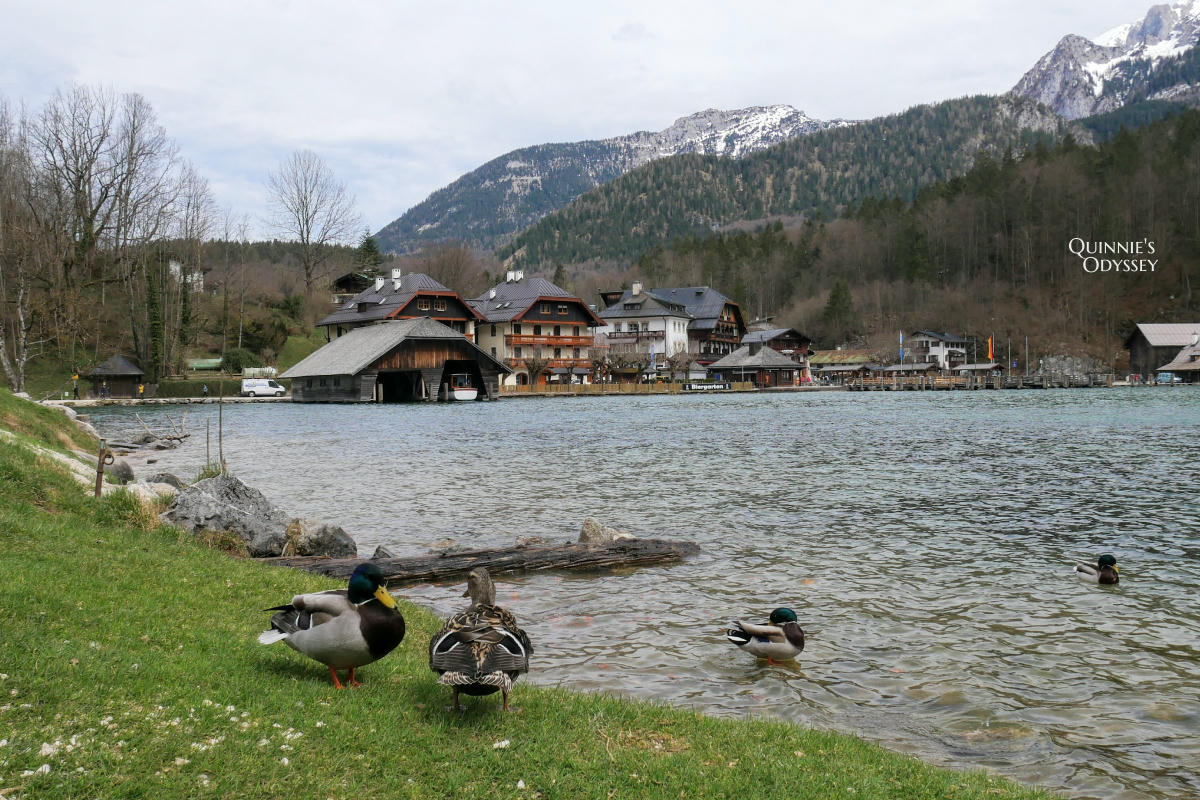 奧地利/捷克/匈牙利/斯洛伐克:星浩旅遊歐洲跟團行程推薦&優惠折扣 - 第8張圖 德國 國王湖