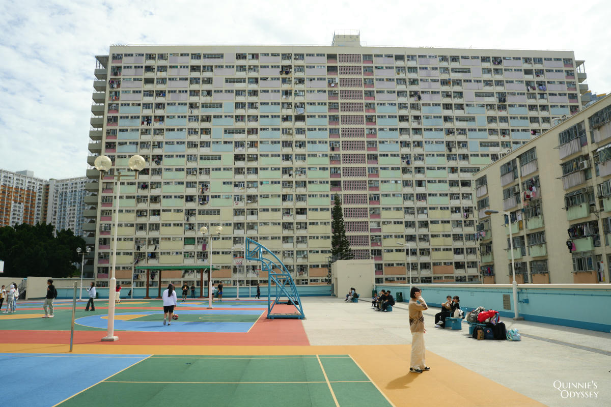 彩虹邨:香港最繽紛公屋打卡景點,朝聖都市裡的一片彩虹 - 第11張圖 彩虹邨