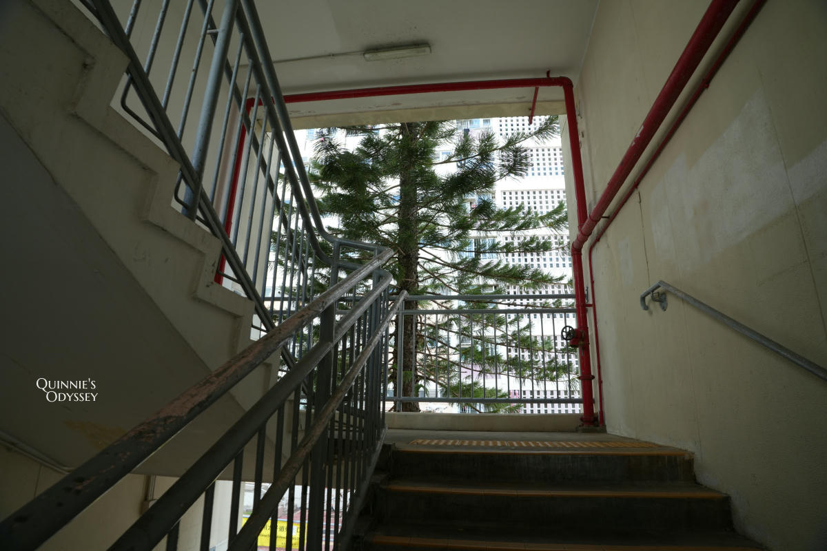 彩虹邨:香港最繽紛公屋打卡景點,朝聖都市裡的一片彩虹 - 第9張圖 彩虹邨