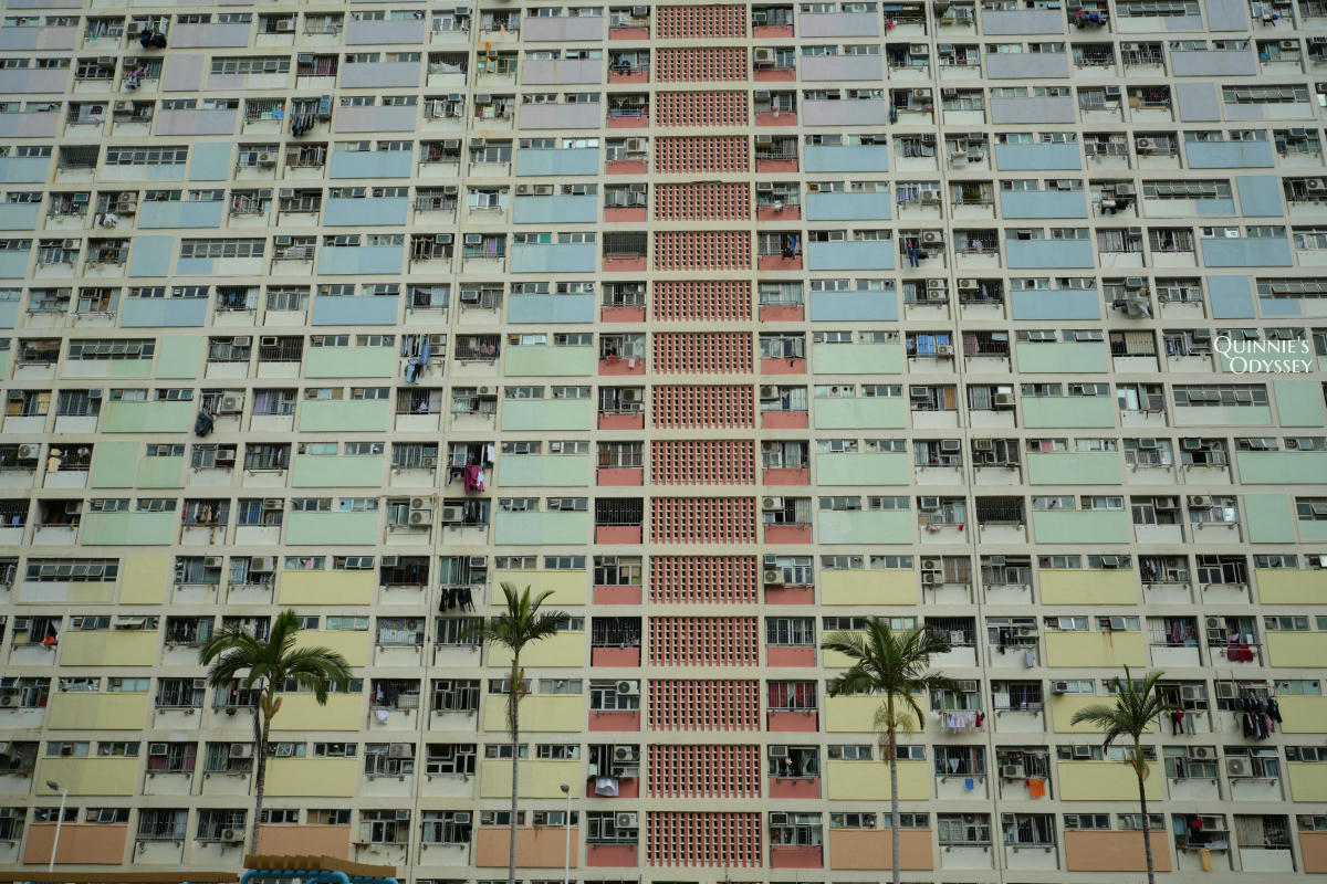 彩虹邨:香港最繽紛公屋打卡景點,朝聖都市裡的一片彩虹 - 第14張圖 彩虹邨