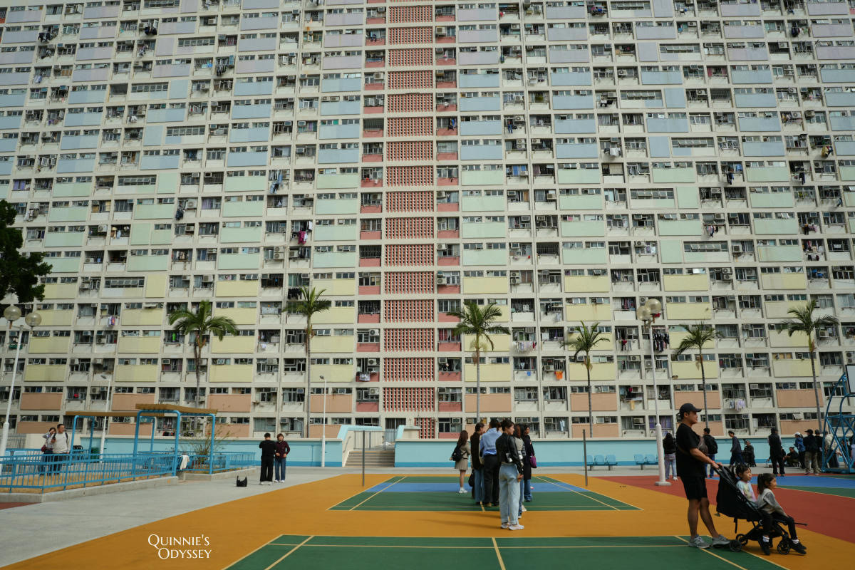 彩虹邨:香港最繽紛公屋打卡景點,朝聖都市裡的一片彩虹 - 第12張圖 彩虹邨