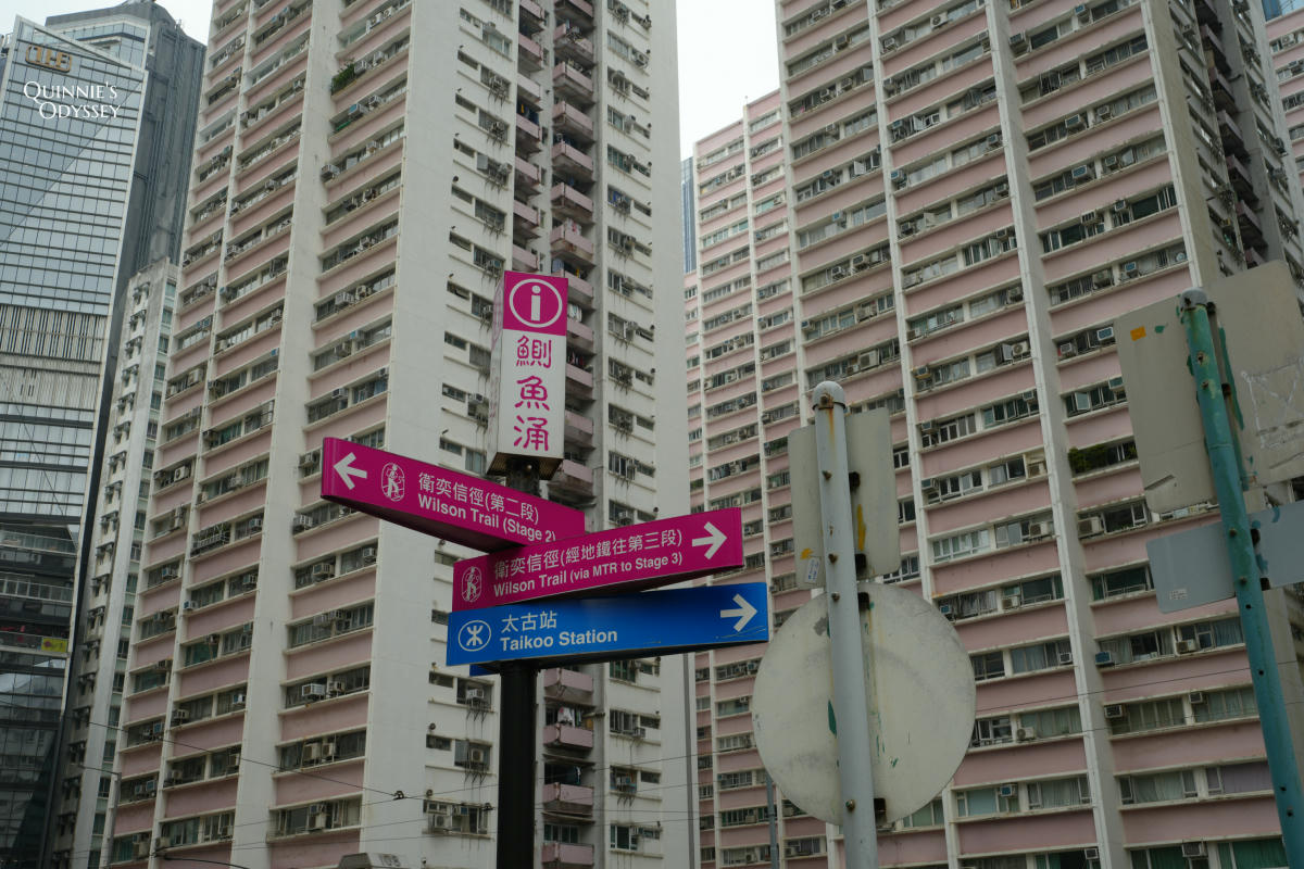 香港怪獸大廈:海山樓/益昌大樓,被密集的舊高樓包圍 - 第5張圖 鰂魚涌