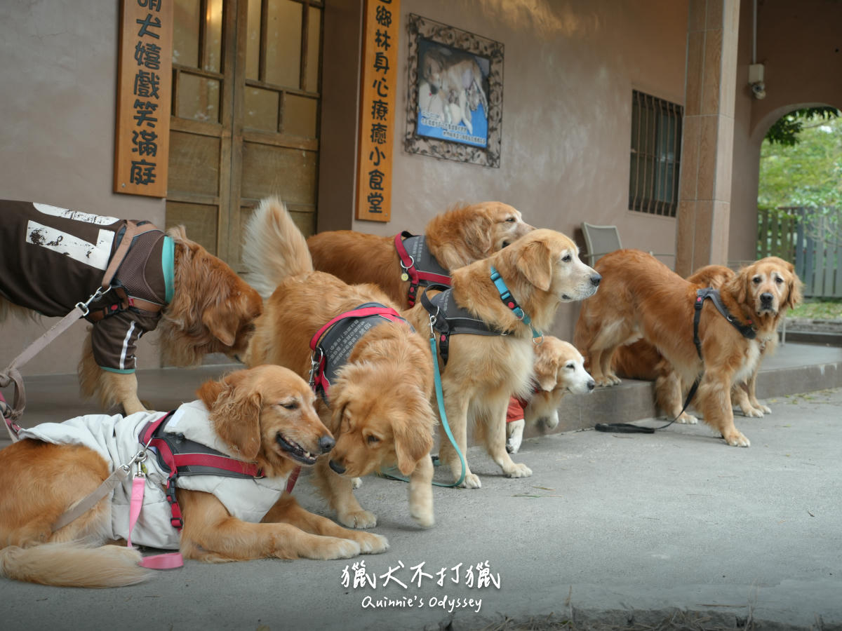 向天湖咖啡民宿：苗栗南庄-雲霧繚繞的山林小屋