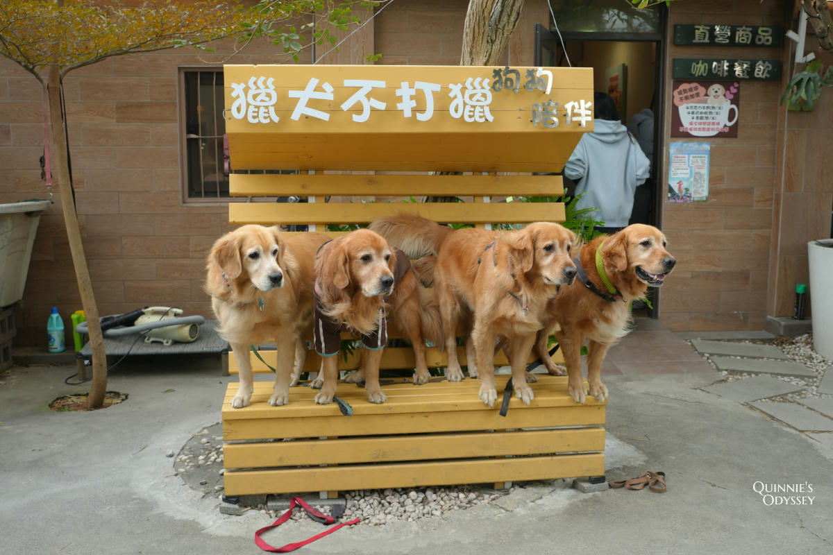 獵犬不打獵鄉林小食光
