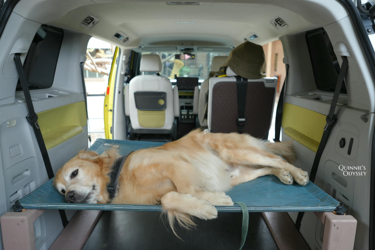 獵犬不打獵鄉林小食光