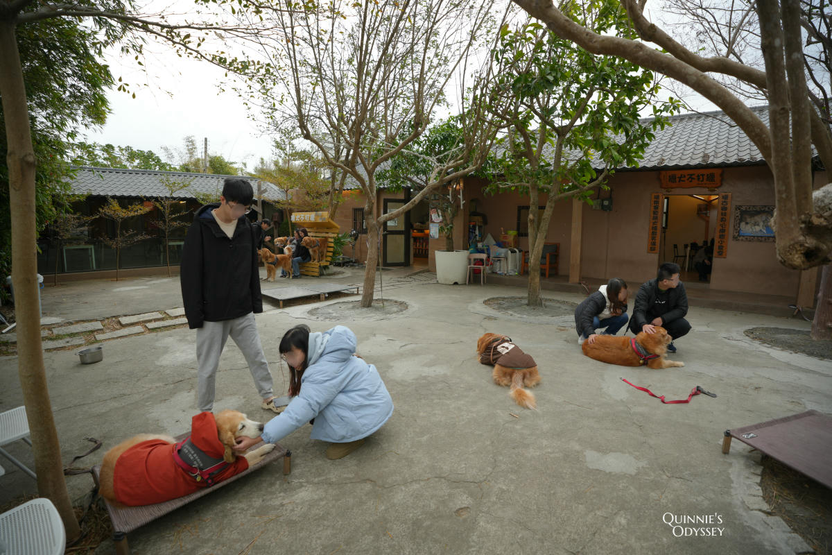 獵犬不打獵鄉林小食光