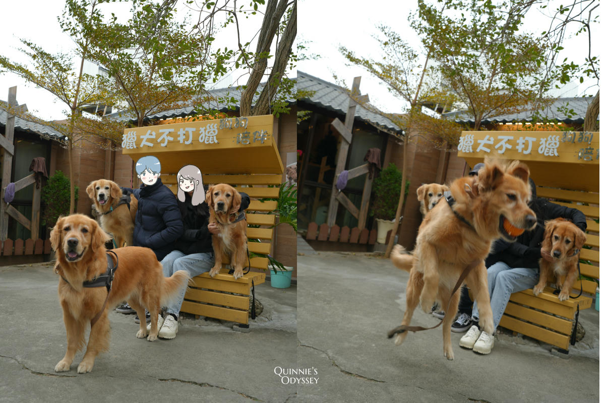 獵犬不打獵鄉林小食光