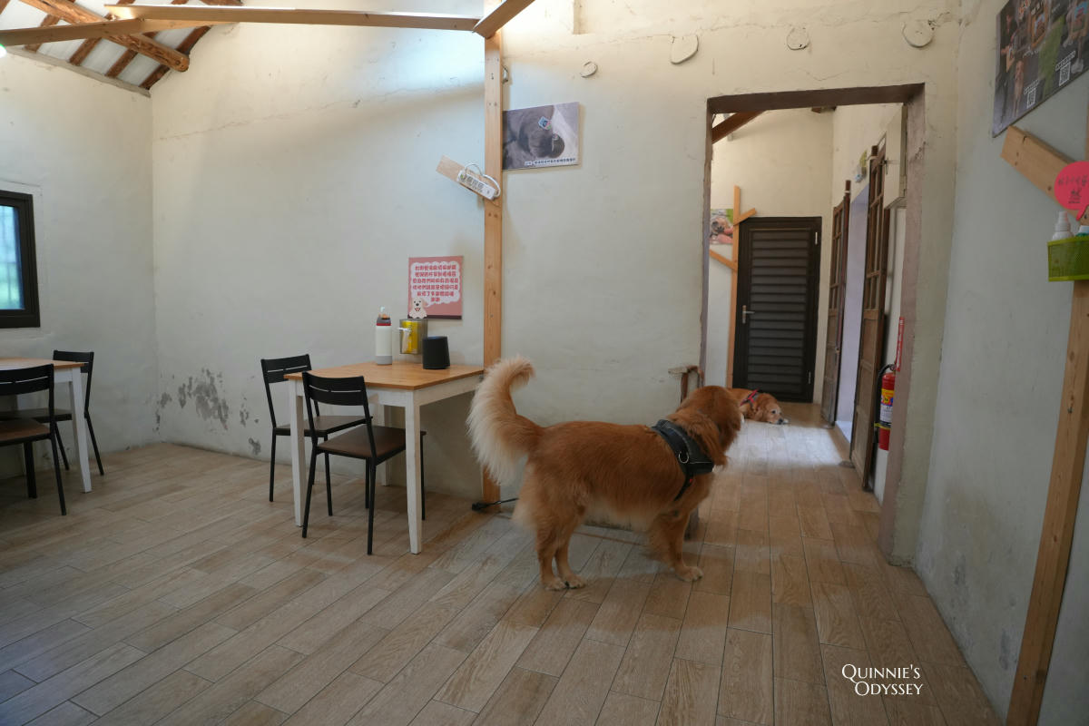 獵犬不打獵鄉林小食光