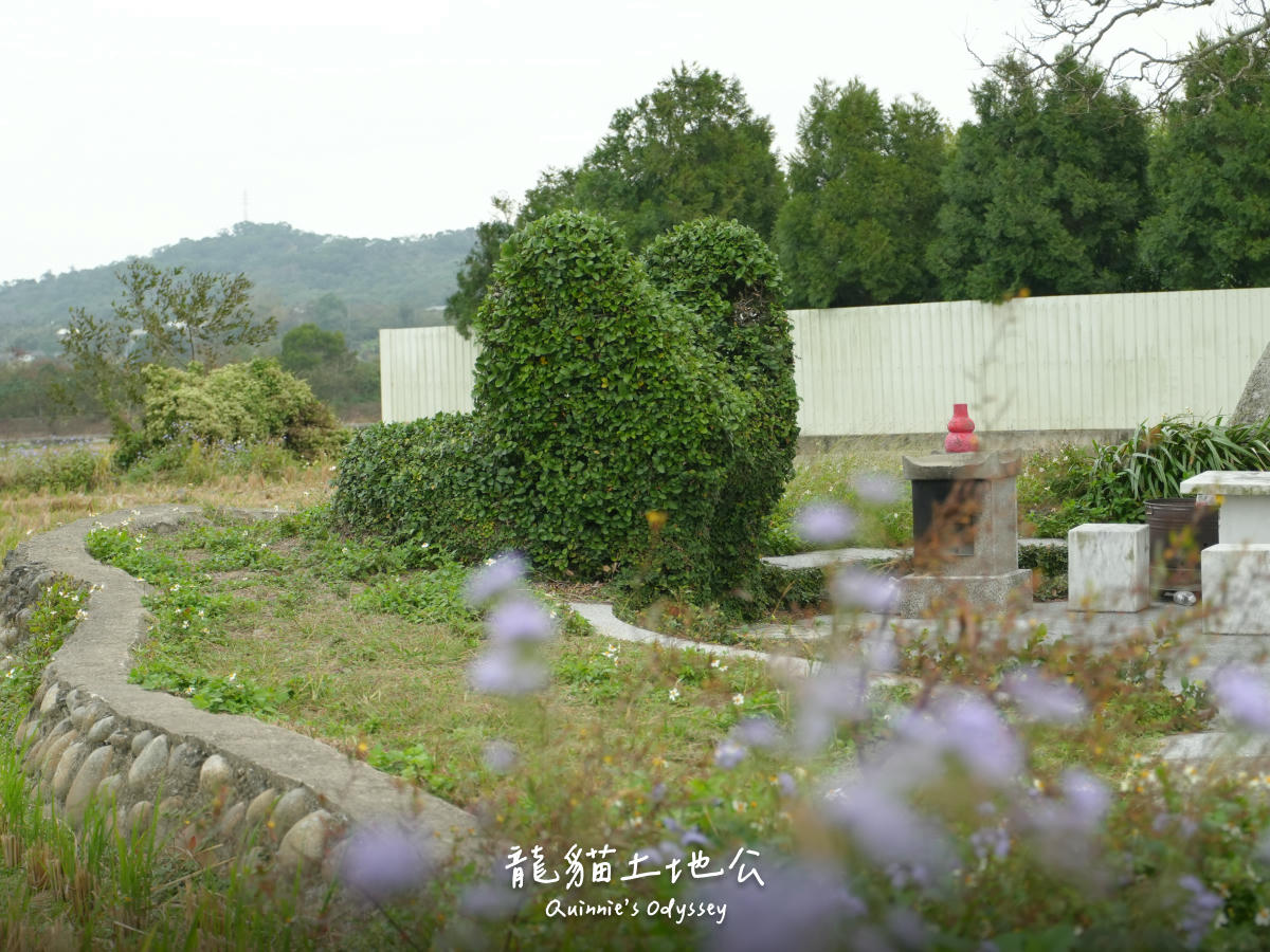 向天湖咖啡民宿：苗栗南庄-雲霧繚繞的山林小屋