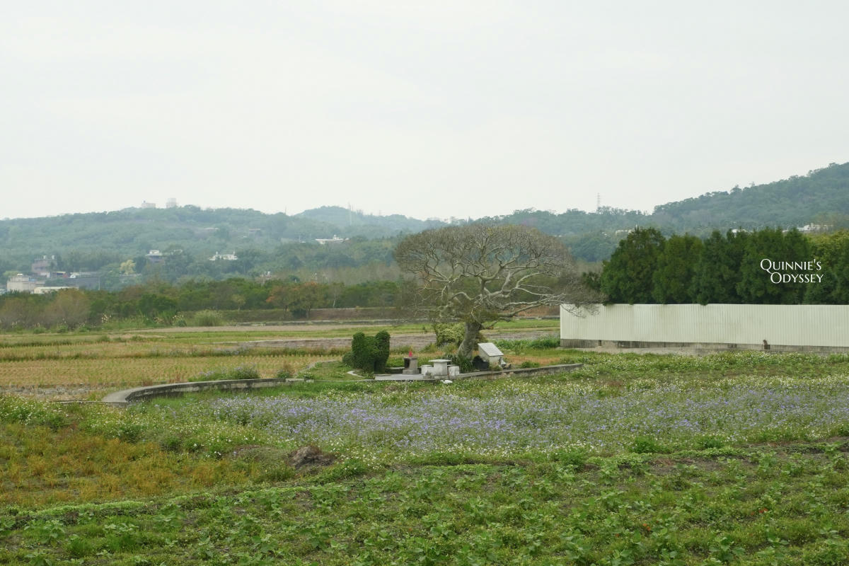 龍貓土地公:苗栗銅鑼稻田裡,超過兩百年歷史的田心伯公 - 第5張圖 苗栗 龍貓土地公