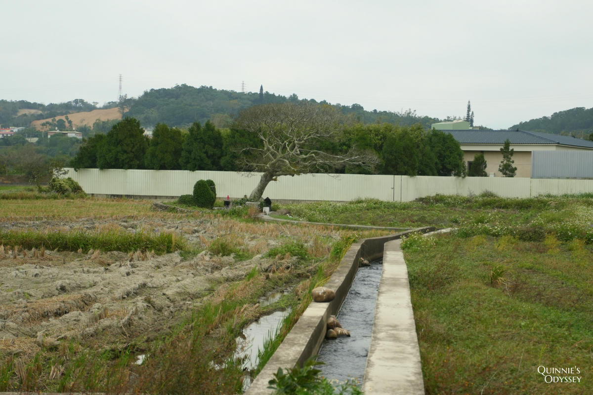 龍貓土地公:苗栗銅鑼稻田裡,超過兩百年歷史的田心伯公 - 第6張圖 苗栗 龍貓土地公