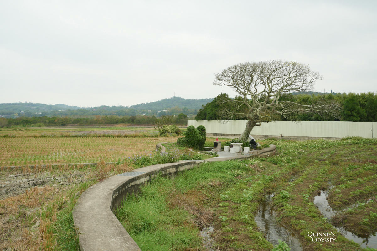 龍貓土地公:苗栗銅鑼稻田裡,超過兩百年歷史的田心伯公 - 第7張圖 苗栗 龍貓土地公