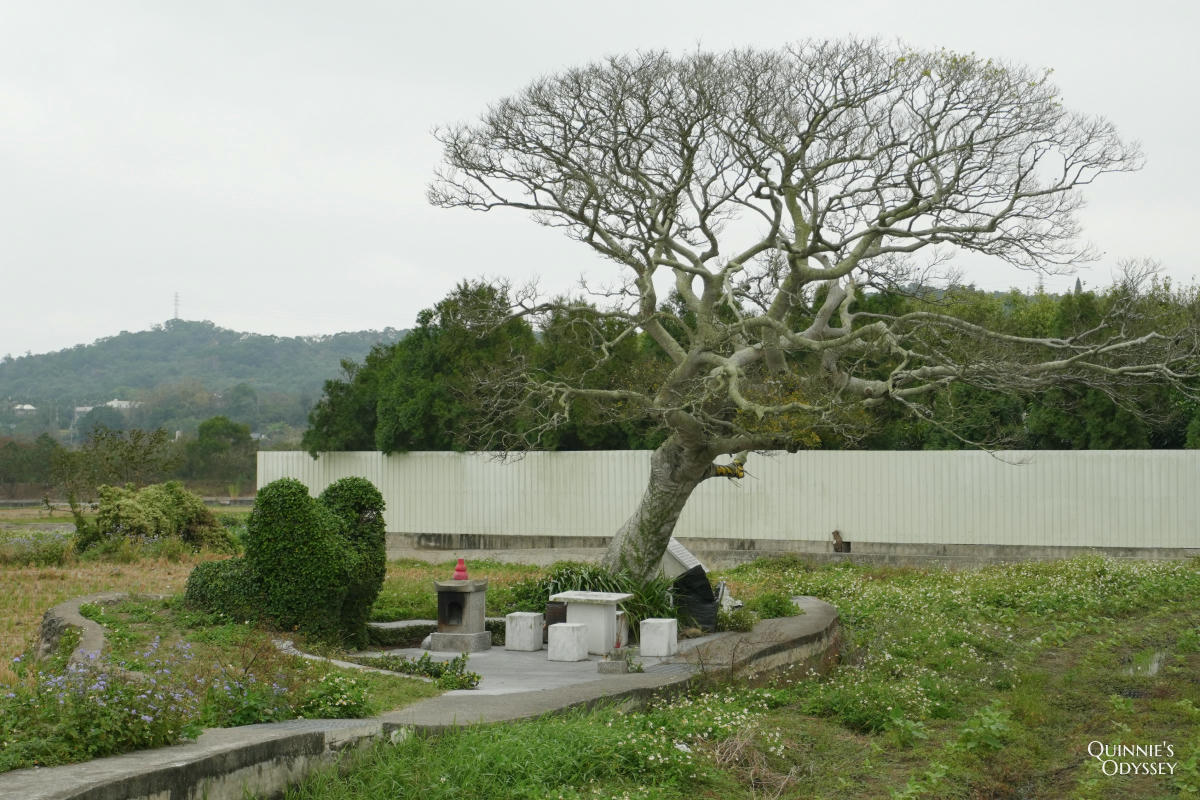 龍貓土地公:苗栗銅鑼稻田裡,超過兩百年歷史的田心伯公 - 第9張圖 苗栗 龍貓土地公