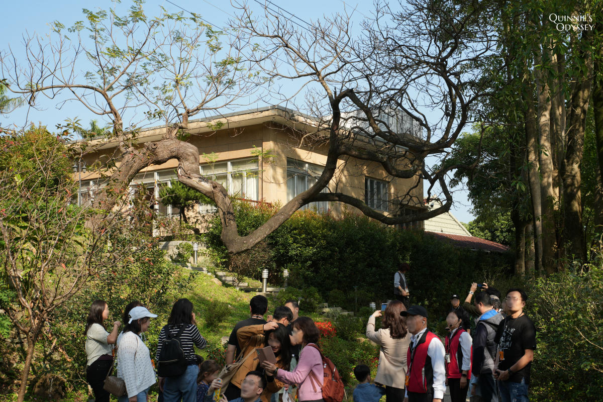 圓山大飯店地下密道探秘:東密道、西密道、孔二小姐家一次看 - 第14張圖 圓山大飯店東密道 孔二小姐故居